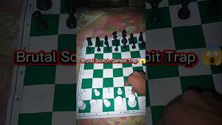 Brutal Scotch Gambit Trap 😱