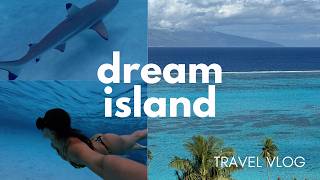 sharks, beautiful beaches and more in Mo'orea, French Polynesia