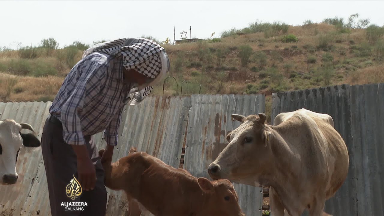 تزايد الهجمات التي يشنها المستوطنون الإسرائيليون على البدو الفلسطينيين
