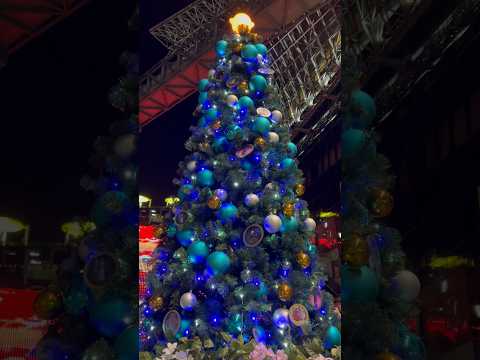 【京都旅行冬】クリスマス🎄イルミネーション2023