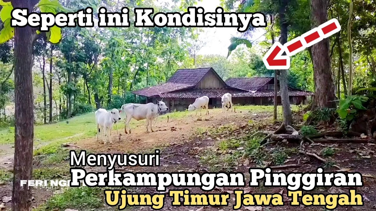 Apik❗Jalan Penghubung Kabupaten Sragen ke Grobogan |Suasana Pedesaan Kampung Pinggiran- FERI NGEVLOG