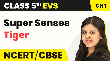 Class 5 EVS Chapter 1 | Super Senses - Tiger | Class 5 EVS NCERT