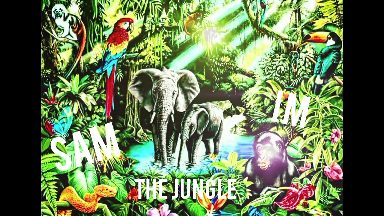 The Jungle