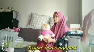 Bojo anyar || story wa keren || instastory