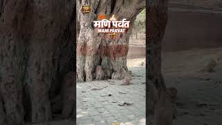 Mani Parvat Ayodhya Up (Unfiltered 🚩) #minivlog #travel #ayodhya #vlog #viral