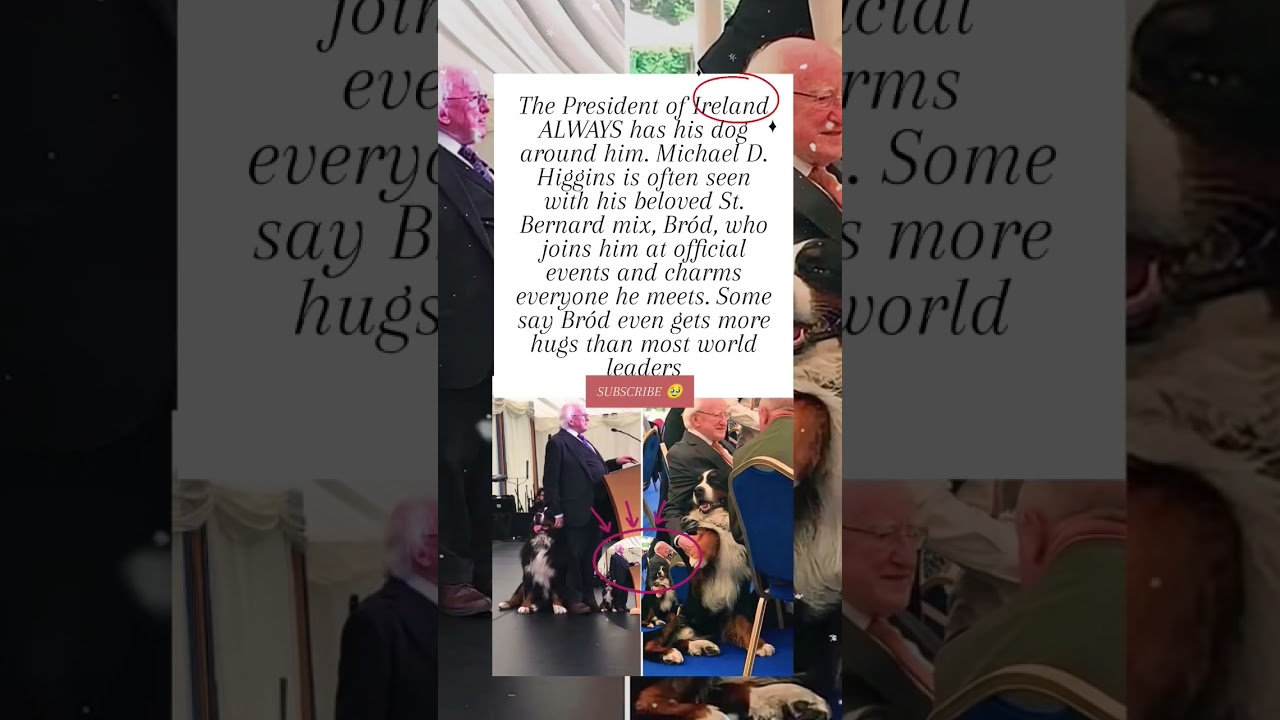 Ireland’s President Never Goes Anywhere Without His Dog 🐶🇮🇪