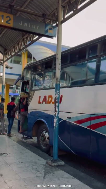 Body Odong Odong yang Terkenal di Jaman nya 💨 #ladju #poladju #busmania #shorts #fyp #ladjumania