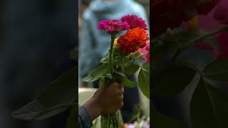 Laatste Arnhem-Veteraan Legt Krans Op Airborne-Begraafplaats