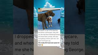 She Fell In Love At Dog Daycare Her Reaction To The Great Dane Will Melt Your Heart