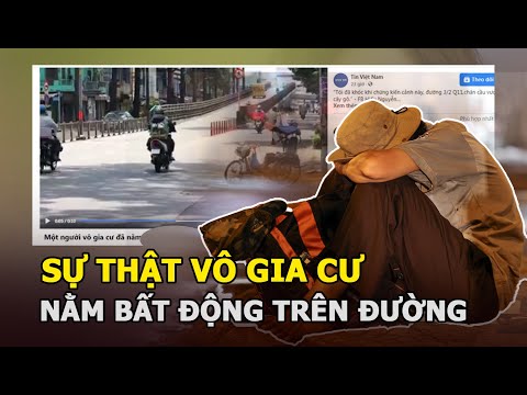 Video: Triển Lãm động Vật Vô Gia Cư Như Thế Nào?