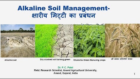 Alkaline Soil Management-क्षारीय मिट्टी का प्रबंधन-Dr P. C. Patel