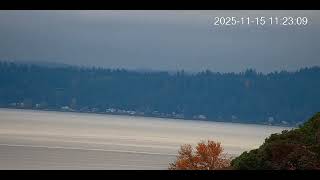 November 15, 2025 | T46s East Passage Webcam Replay