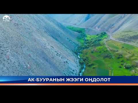 Video: Дарыя жээгин жашылдандыруу: дарыя жээгине ылайыктуу өсүмдүктөрдү кантип тандоо керек