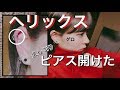 【激痛】林またピアス開けるってよ