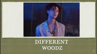 DIFFERENT - WOODZ EASY LYRICS
