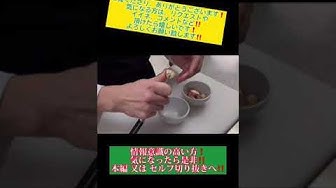 公邸料理人 Youtube 公邸料理人 Youtube