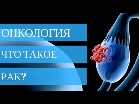 ЧТО ТАКОЕ РАК  и почему он возникает?