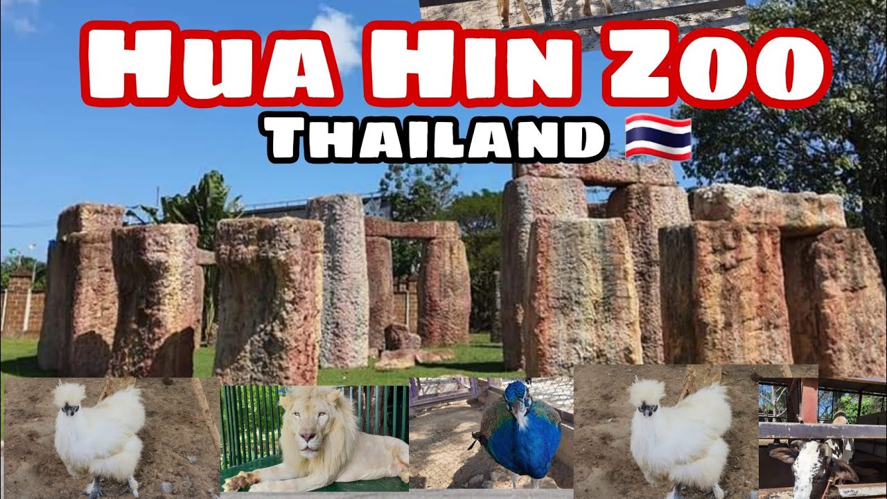 Hua Hin Zoo Thailand 🇹🇭 - YouTube