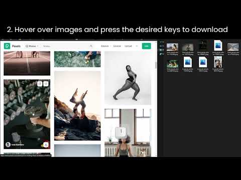 QuickImage Downloader & Categorizer video preview 2