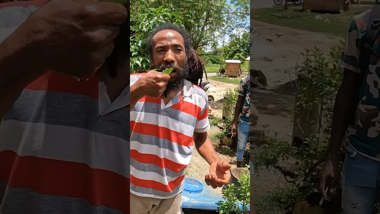 Rasta Man Reveals the Secret to a Long Life 🇯🇲