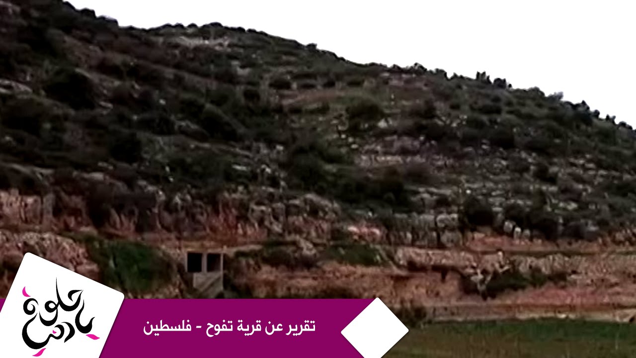 حلوة يا دنيا - تقرير عن قرية تفوح - فلسطين