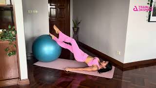 Stability Ball Reverse Plank Alt Marching