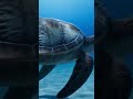 Giant Archelon Escapes Pliosaur Attack! 4.5 Meter Turtle vs Predator 🐢💥 #shark #pterosaurus #facts