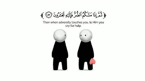 قرآن كريم --تلاوة من سورة النحل --القارئ عبدالرحمن مسعد --