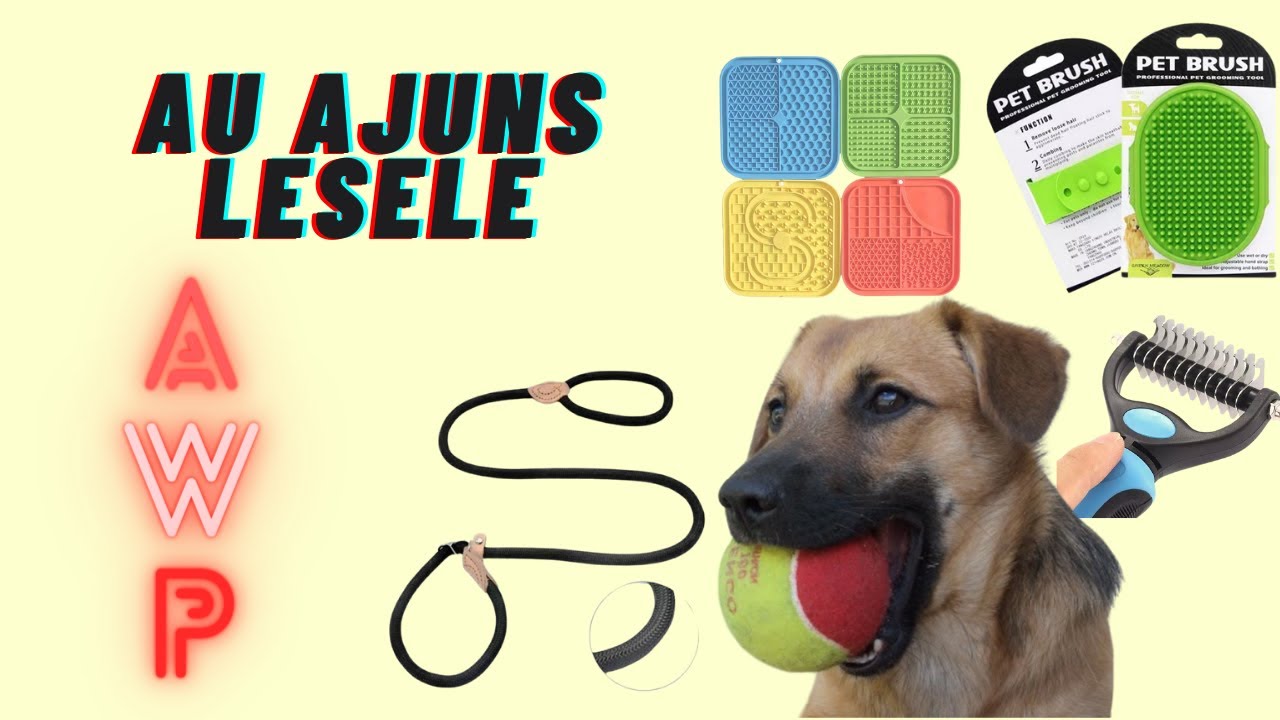 A revenit cea mai buna lesa pentru plimbarea cainelui - lesa AWP