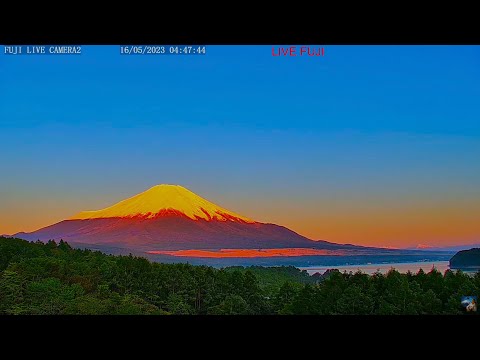 登山者の灯り、富士山ライブ夜の部、星空、流星群、赤富士、北斎画の富士山"Mt. Fuji" live camera. World heritage Fuji in the Night 、meteor、