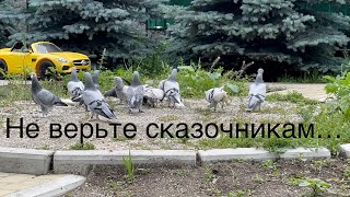 Не верьте сказочникам…