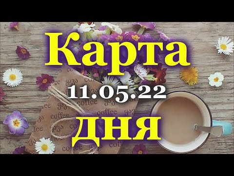 🍀 КАРТА ДНЯ