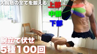 【100回】立体的で美しい大胸筋を作る腕立て伏せで筋トレ。