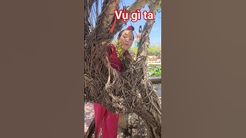 Không được vứt rác bừa bãi #shost