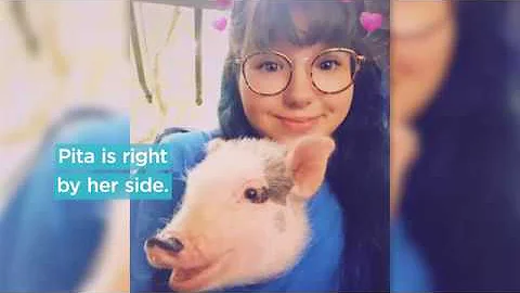 Pig Helps Emily Cope with Her Brain Disease