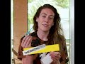 Delta Dental Wubble Essentials - Breanna Stewart