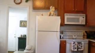 315 Saint Michaels Ave video tour