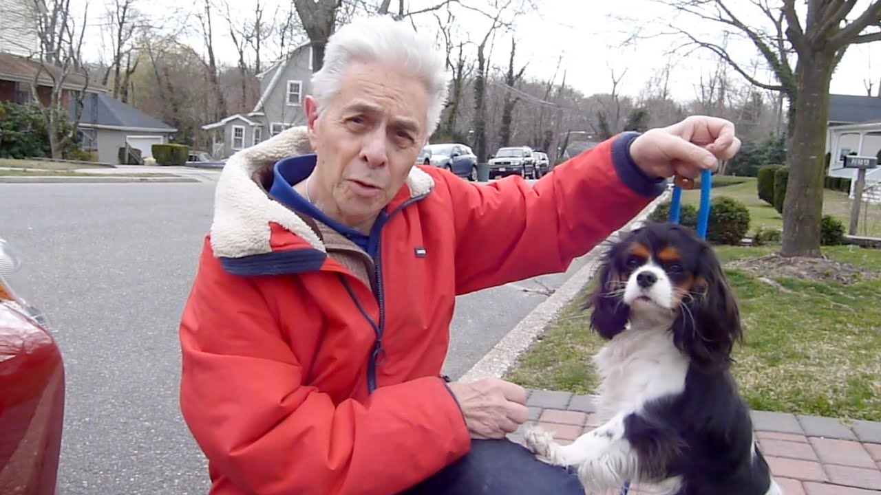 Giving Your Dog Proper Exercise