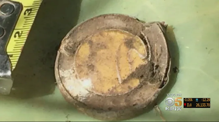 Radioactive Deck Marker Found At Hunters Point Redevelopment Site