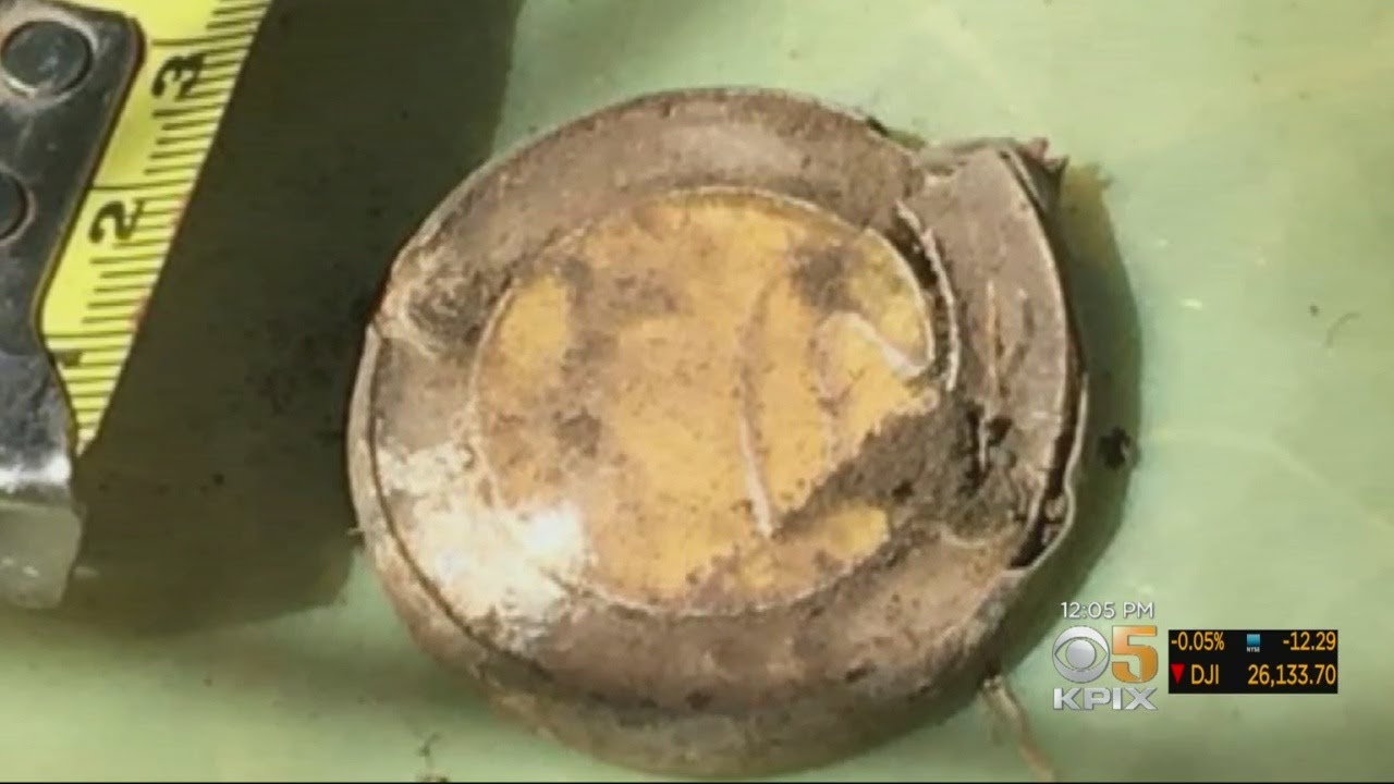 Radioactive Deck Marker Found At Hunters Point Redevelopment Site
