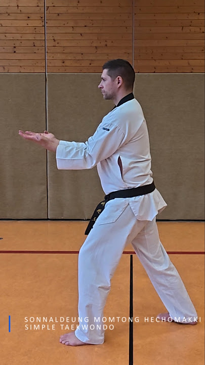 Sonnaldeung Momtong Hechomakki Taekwondo #shorts #taekwondo #tutorial