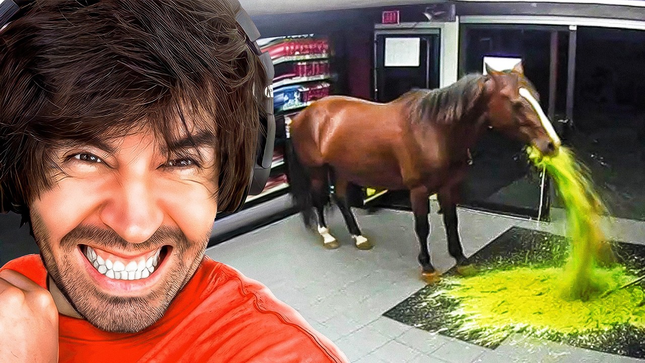 si TE RÍES PIERDES!!