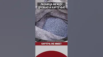 Разница между дробью и картечью