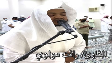 تراويح ليلة (١٢) ١٤٤٢ القارئ/ رأفت مولوي