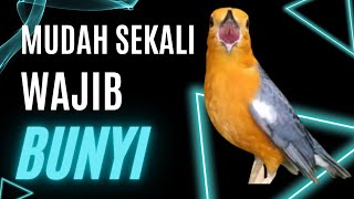 Download Lagu 137 | DIJAMIN !! PASTI IKUT BUNYI !! SUARA ANIS MERAH GACOR PANCINGAN TERCEPAT BIKIN BUNYI GACOR MP3 Download Lagu 137 | DIJAMIN !! PASTI IKUT BUNYI !! SUARA ANIS MERAH GACOR PANCINGAN TERCEPAT BIKIN BUNYI GACOR MP3