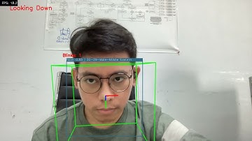 Face Technologies - Fatigue Detection, Eye-blink Detection, and Head-pose Estimation