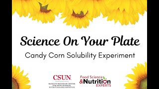 Candy Corn Solubility Experiment