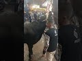 اذكر الله انتاج أعلاف مؤسسه خموسه محيمر رقم التواصل2554696 0100 اذكر الله انتاج أعلاف مؤسسه خموسه محيمر رقم التواصل2554696 0100