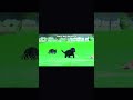Available 9034389070 Germanshepherd Puppy Gsd Pets Dog Blackgermanshephedd Dogbreed 