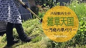 草刈り 三角ホー 鍬を使った草の刈り方 Youtube 草刈り 三角ホー 鍬を使った草の刈り方 Youtube